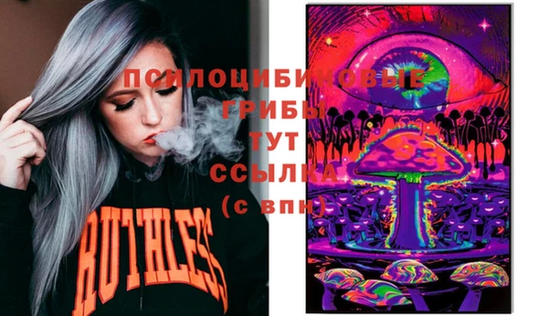 герыч Алексин