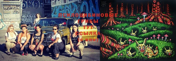 бутират Алексеевка