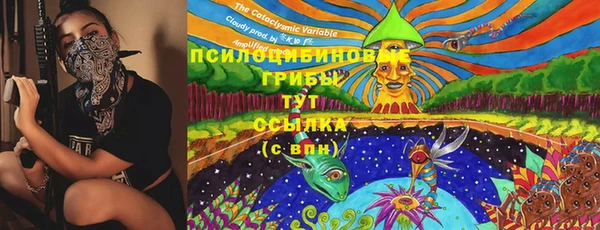 герыч Алексин