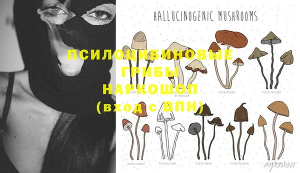 герыч Алексин