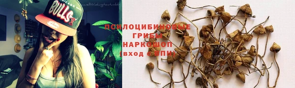 мескалин Абинск