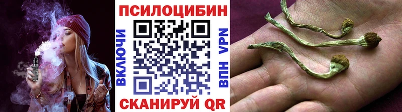 Галлюциногенные грибы Psilocybine cubensis Копейск